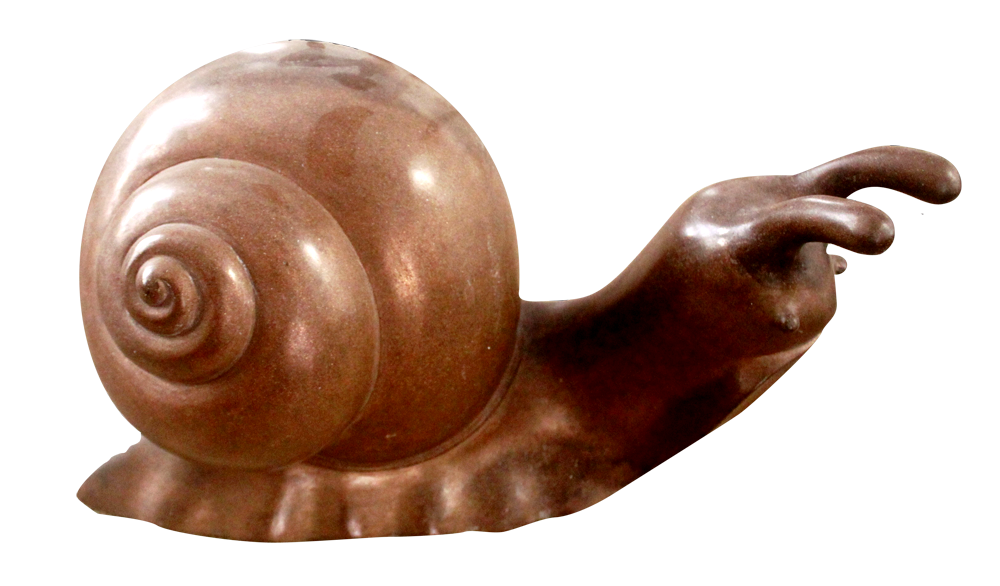 ốc s&ecirc;n